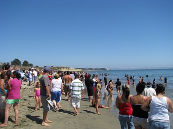 IMG_2040.jpg