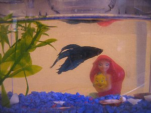 IMG_1553.jpg