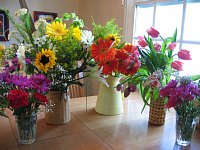 IMG_1773.jpg