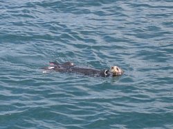 IMG_2973.jpg
