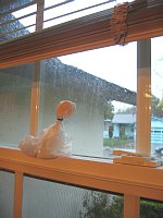 IMG_3015.jpg